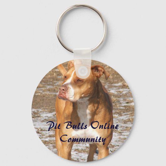 PBOCキーチェーン キーホルダー (正面)