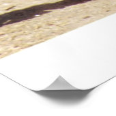 PBR夢 ポスター (角)