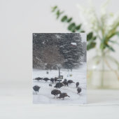 PCの冬のパーティー収集のミーティングおもしろい ポストカード (スタンド正面)