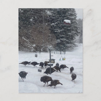 PCの冬のパーティー収集のミーティングおもしろい ポストカード