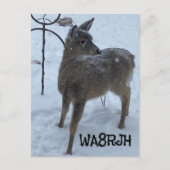 PC冬のベビー鹿ハムOpアマチュア無線QSLカード ポストカード (正面)