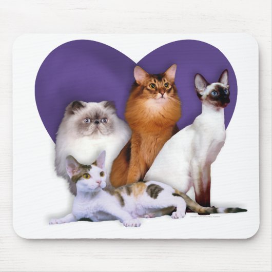 PCBRのマウスパッド! マウスパッド (正面)