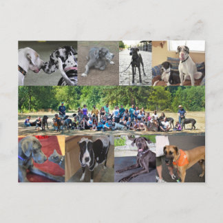 PDXDanesポストカード ポストカード