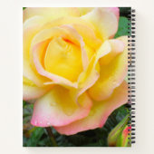 Peaceバラ写真 ノートブック (裏面)