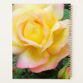 Peaceバラ写真 プランナー手帳 (裏面)