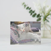 Peace猫ちゃんはがき ポストカード (スタンド正面)