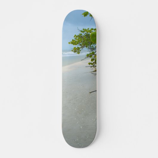 Peace and Quiet on Sanibel SkateBoard スケートボード (正面)