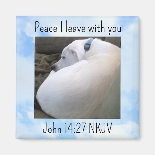 Peace Bible Verse Dog Photo in Light Blue Sky マグネット (正面)