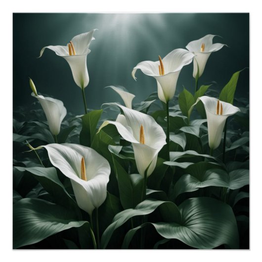 peace lilies ポスター (正面)
