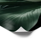 peace lilies ポスター (コーナー)