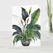 Peace Lily - Watercolor flowers カード (正面)