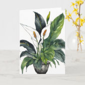 Peace Lily - Watercolor flowers カード (黄色い花)