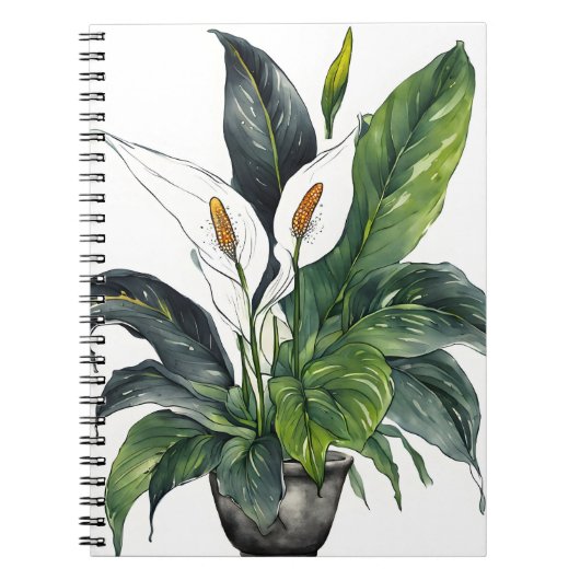 Peace Lily - Watercolor flowers ノートブック (正面)