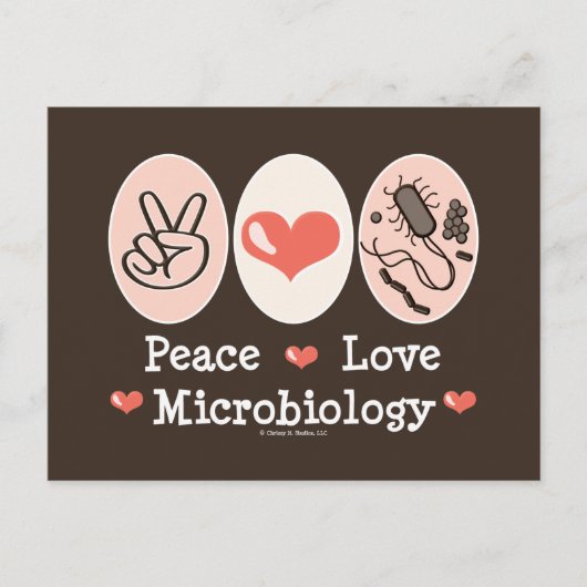 Peace Love Microbiologyポストカード ポストカード (正面)