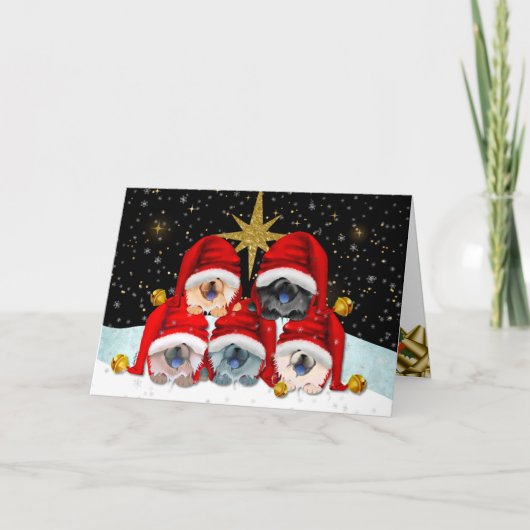 PEACE ON EARTHチャウアートカード カード (正面)