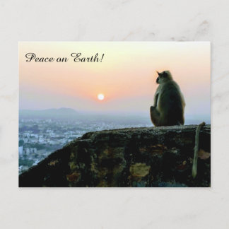 Peace on Earth Meditation Monkey India Sunset ポストカード