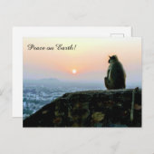 Peace on Earth Meditation Monkey India Sunset ポストカード (正面/裏面)