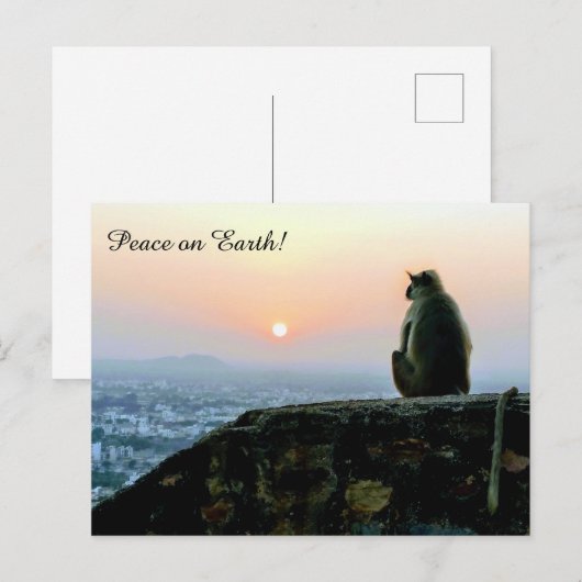 Peace on Earth Meditation Monkey India Sunset ポストカード (正面/裏面)
