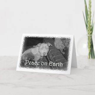 Peace on Earth Pit Bull Christmas Card シーズンカード