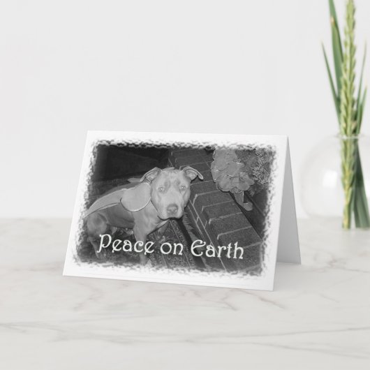 Peace on Earth Pit Bull Christmas Card シーズンカード (正面)