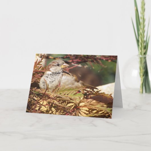 Peace Sparrow Greeting Card (空白の内側) カード (正面)