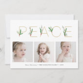 Peace Waterカラー春クリスマス3枚の写真 シーズンカード (正面)