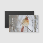 Peace Winter Cardinal Photo Magnet Card (正面/裏面)