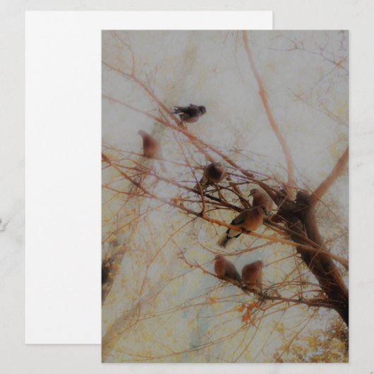 Peaceful Birds Flat Card (正面/裏面)