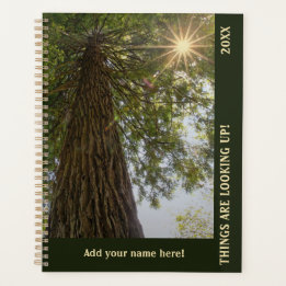 Peaceful Forest with Golden Light Planner プランナー手帳