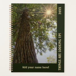 Peaceful Forest with Golden Light Planner プランナー手帳