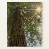 Peaceful Forest with Golden Light Planner プランナー手帳 (裏面)