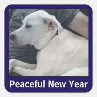 Peaceful New Year Cute Dog Photo with Dad Blue スクエアシール