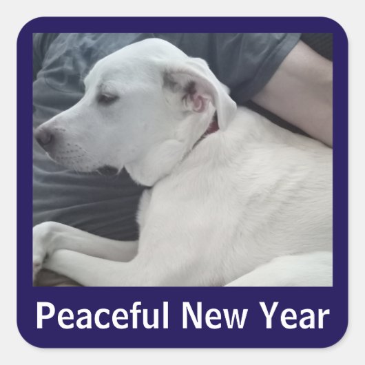 Peaceful New Year Cute Dog Photo with Dad Blue スクエアシール (正面)