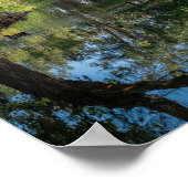 Peaceful Pond Reflections - Nature's Mirror ポスター (角)