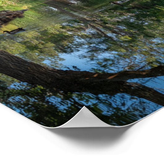 Peaceful Pond Reflections - Nature's Mirror ポスター (角)