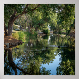 Peaceful Pond Reflections - Nature's Mirror ポスター