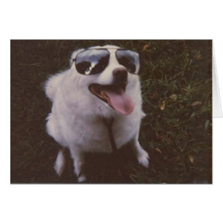 peacewillowによるiggie