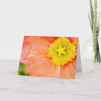 Peach and Yellow Poppy Thank You Card サンキューカード