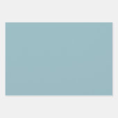 Peach Blue Butterflies Baby Shower ラッピングペーパーシート (正面3)