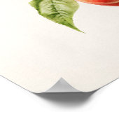 Peach Bough (Prunus Persica) Fruit Painting ポスター (角)