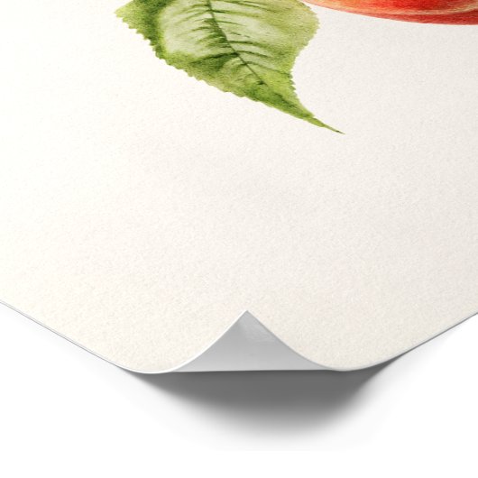 Peach Bough (Prunus Persica) Fruit Painting ポスター (角)