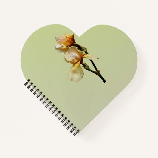 Peach Colored Irises ノートブック (正面)