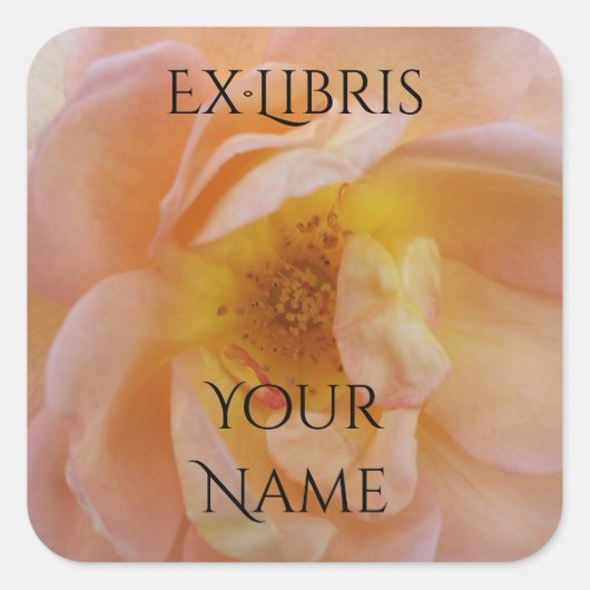 Peach-Colored Rose Bookplate スクエアシール (正面)