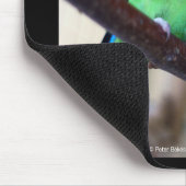 Peach-faced lovebird マウスパッド (コーナー)