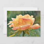 Peach Gold Rose Flower Art Note Card Set ノートカード (正面)