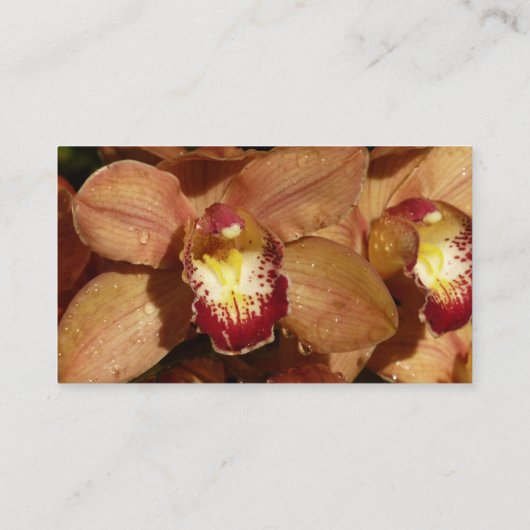 Peach Orchids with Raindrops Floral 名刺 (裏面)