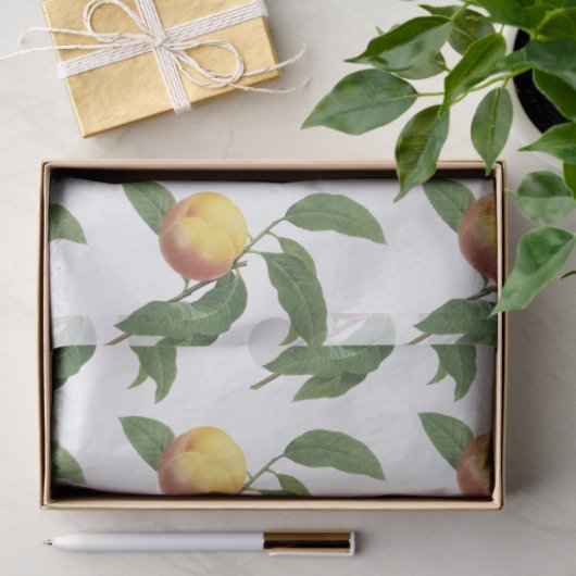 Peach Pattern 薄葉紙 (ギフト)