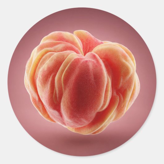 Peach Peel Texture Premium Printable Label Design ラウンドシール (正面)