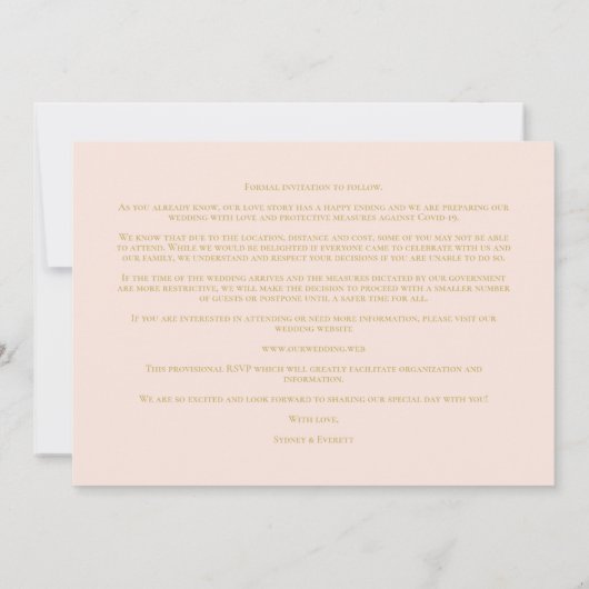 Peach Romantic Vintage Photo Album Scrapbook (裏面)