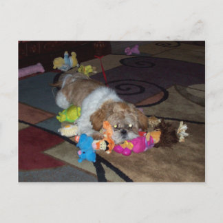 PEACHESかわいいシーズー(犬)Tzu ポストカード